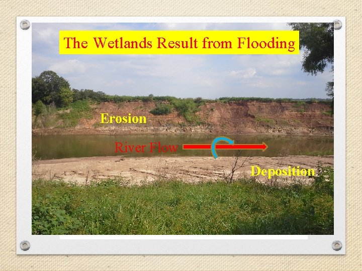 The Wetlands Result from Flooding Erosion River Flow Deposition 