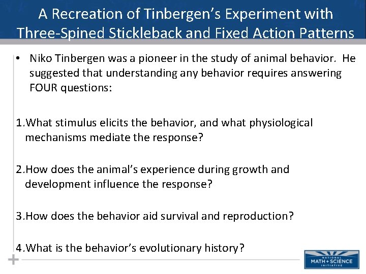 A Recreation of Tinbergen’s Experiment with Three-Spined Stickleback and Fixed Action Patterns • Niko