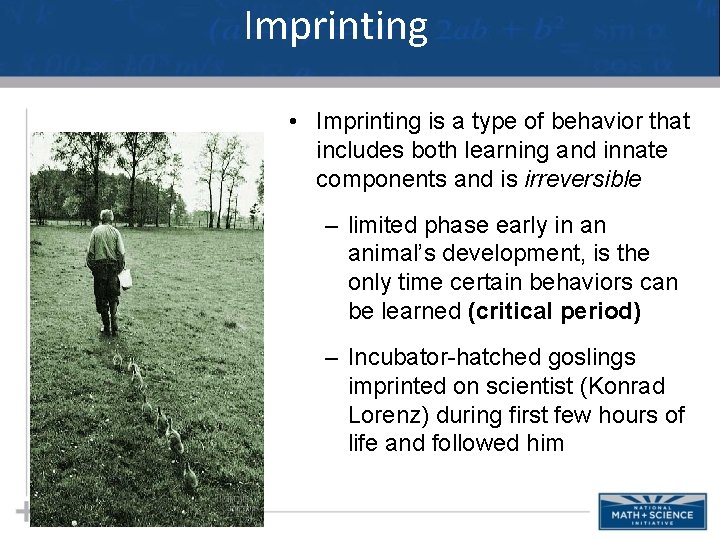 Imprinting • Imprinting is a type of behavior that includes both learning and innate