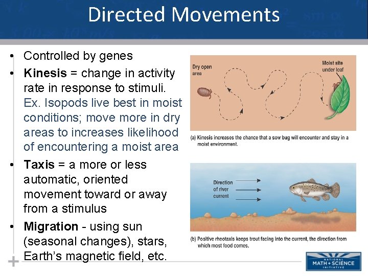 Directed Movements • Controlled by genes • Kinesis = change in activity rate in