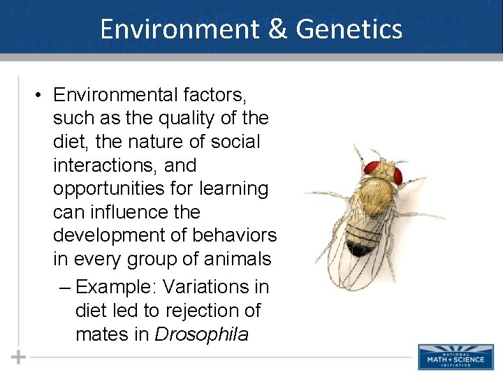 Environment & Genetics • Environmental factors, such as the quality of the diet, the