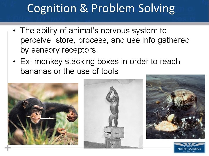 Cognition & Problem Solving • The ability of animal’s nervous system to perceive, store,