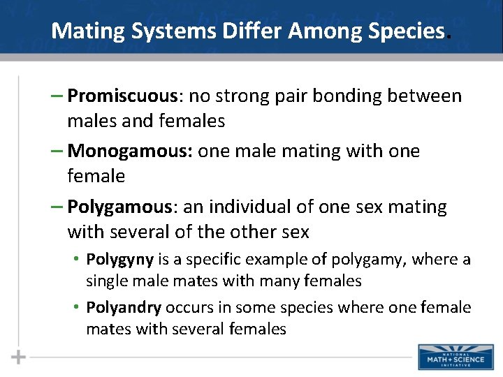 Mating Systems Differ Among Species. – Promiscuous: no strong pair bonding between males and