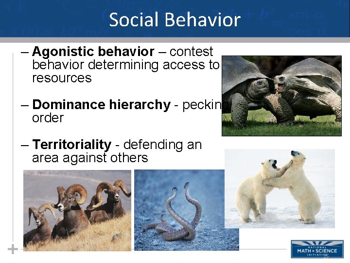 Social Behavior – Agonistic behavior – contest behavior determining access to resources – Dominance