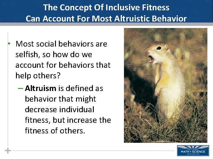 The Concept Of Inclusive Fitness Can Account For Most Altruistic Behavior • Most social