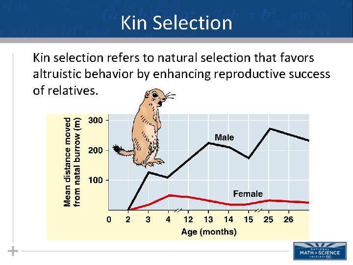 Kin Selection Kin selection refers to natural selection that favors altruistic behavior by enhancing