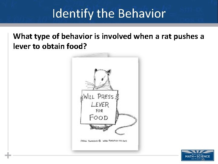 Identify the Behavior What type of behavior is involved when a rat pushes a