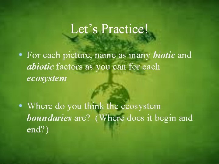 Let’s Practice! • For each picture, name as many biotic and abiotic factors as