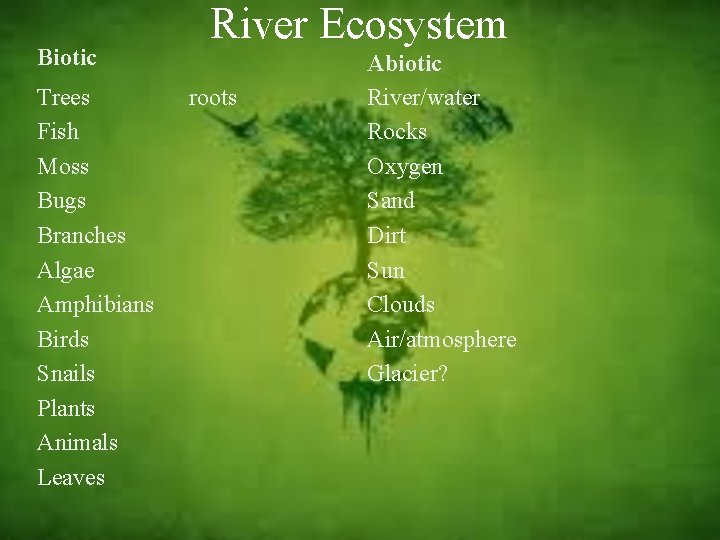 Biotic Trees Fish Moss Bugs Branches Algae Amphibians Birds Snails Plants Animals Leaves River