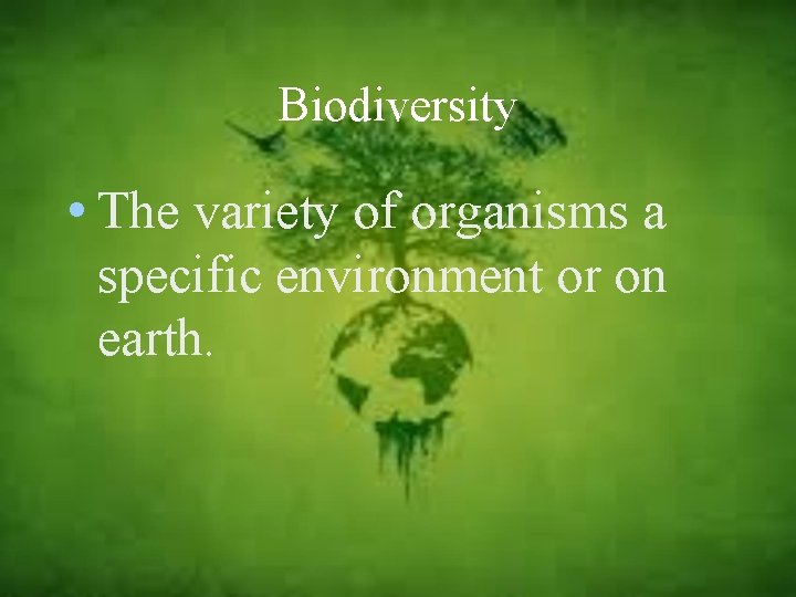 Biodiversity • The variety of organisms a specific environment or on earth. 