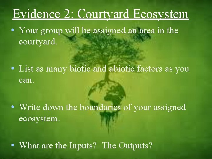 Evidence 2: Courtyard Ecosystem • Your group will be assigned an area in the