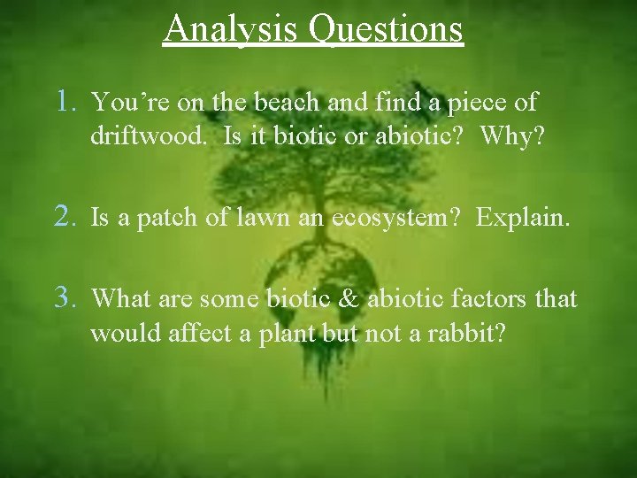 Analysis Questions 1. You’re on the beach and find a piece of driftwood. Is