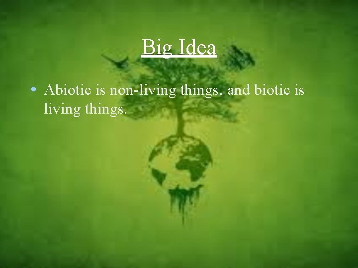 Big Idea • Abiotic is non-living things, and biotic is living things. 