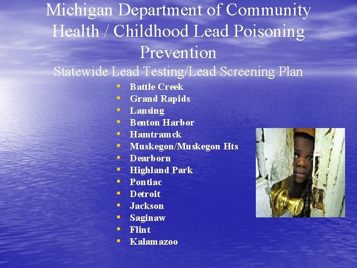 Michigan Department of Community Health / Childhood Lead Poisoning Prevention Statewide Lead Testing/Lead Screening