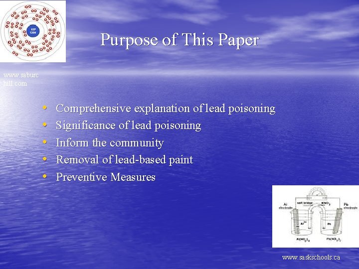 Purpose of This Paper www. saburc hill. com • • • Comprehensive explanation of