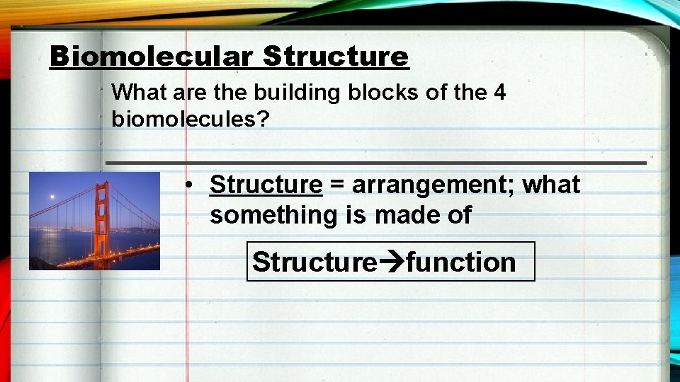 Biomolecular Structure What are the building blocks of the 4 biomolecules? • Structure =