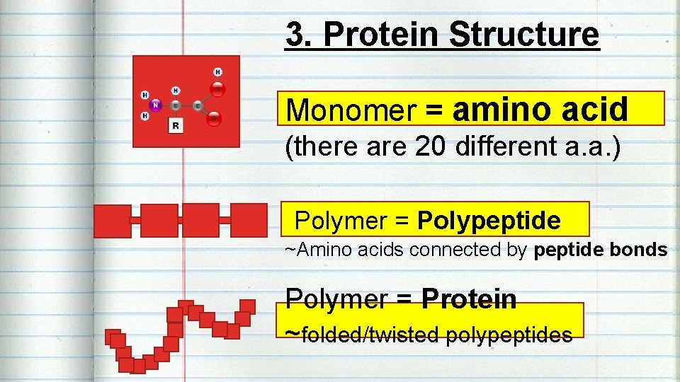 3. Protein Structure Monomer = amino acid (there are 20 different a. a. )