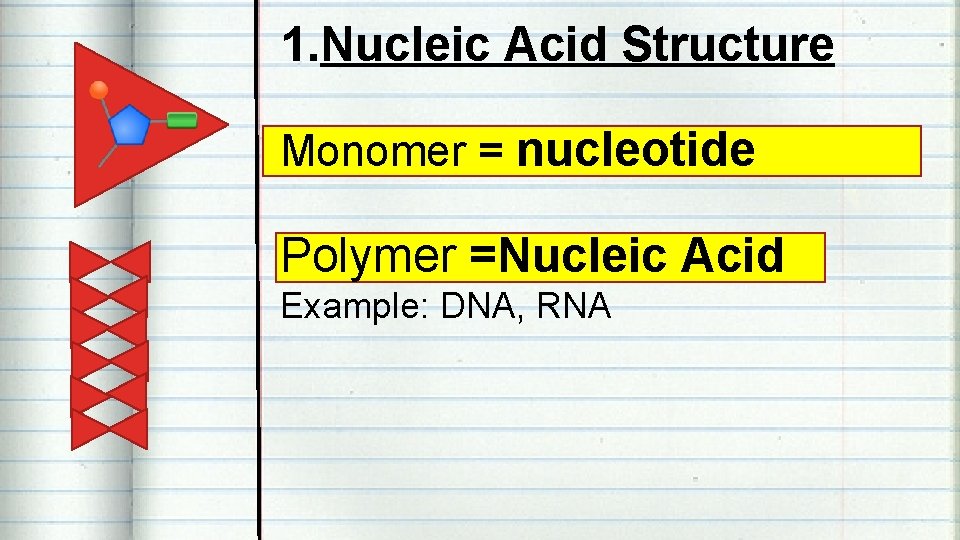 1. Nucleic Acid Structure Monomer = nucleotide Polymer =Nucleic Acid Example: DNA, RNA 