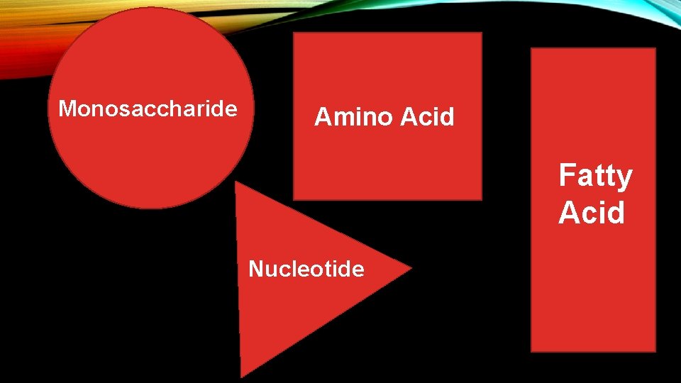 Monosaccharide Amino Acid Fatty Acid Nucleotide 