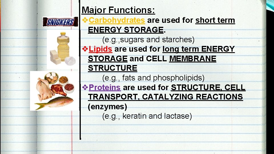 Major Functions: v. Carbohydrates are used for short term ENERGY STORAGE. (e. g. ,