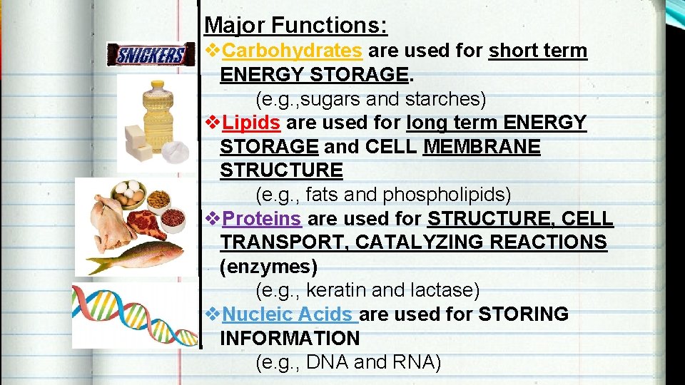 Major Functions: v. Carbohydrates are used for short term ENERGY STORAGE. (e. g. ,