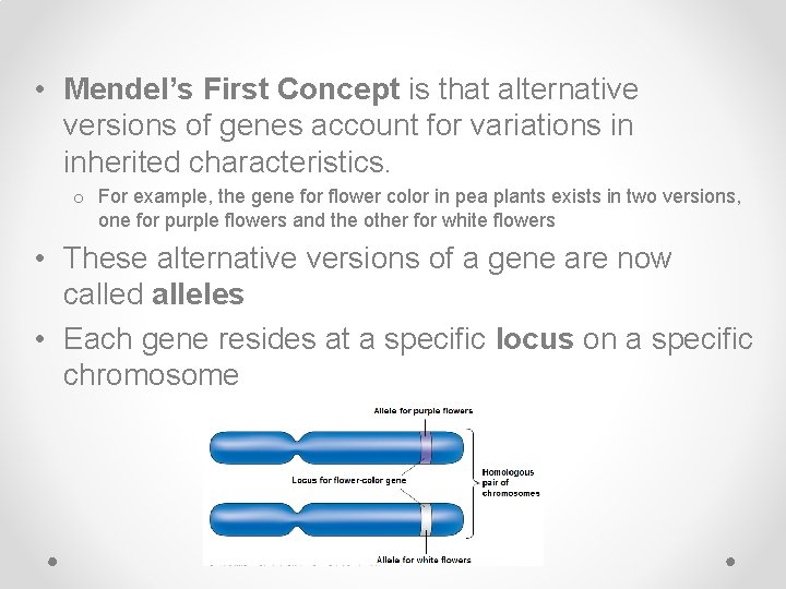  • Mendel’s First Concept is that alternative versions of genes account for variations