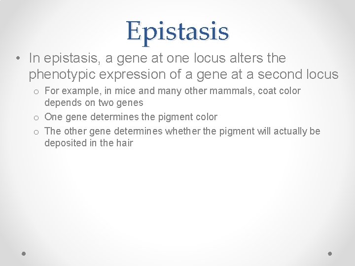 Epistasis • In epistasis, a gene at one locus alters the phenotypic expression of