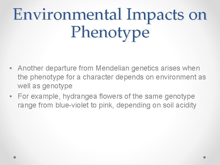 Environmental Impacts on Phenotype • Another departure from Mendelian genetics arises when the phenotype