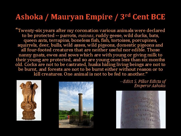 Ashoka / Mauryan Empire / 3 rd Cent BCE “Twenty-six years after my coronation