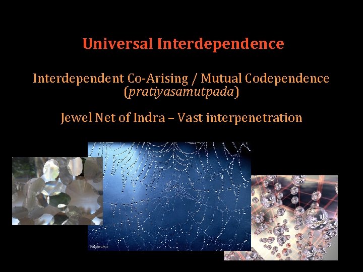 Universal Interdependence Interdependent Co-Arising / Mutual Codependence (pratiyasamutpada) Jewel Net of Indra – Vast