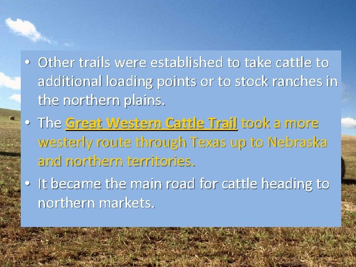  • Other trails were established to take cattle to additional loading points or