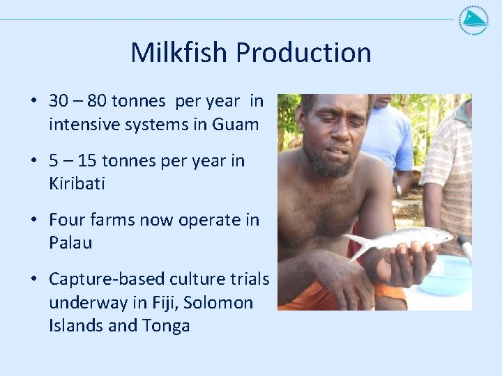 Milkfish Production • 30 – 80 tonnes per year in intensive systems in Guam