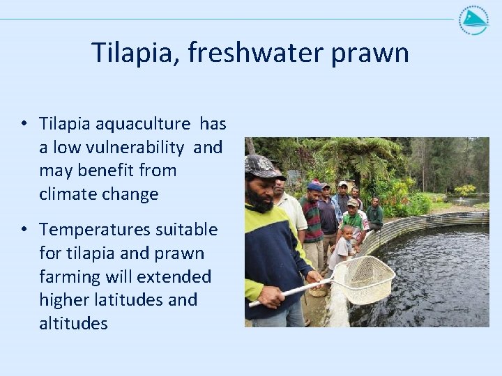 Tilapia, freshwater prawn • Tilapia aquaculture has a low vulnerability and may benefit from