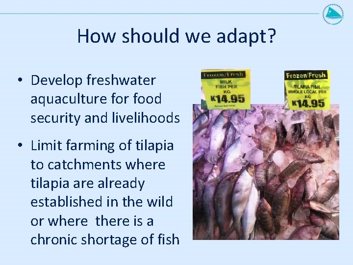 How should we adapt? • Develop freshwater aquaculture for food security and livelihoods •