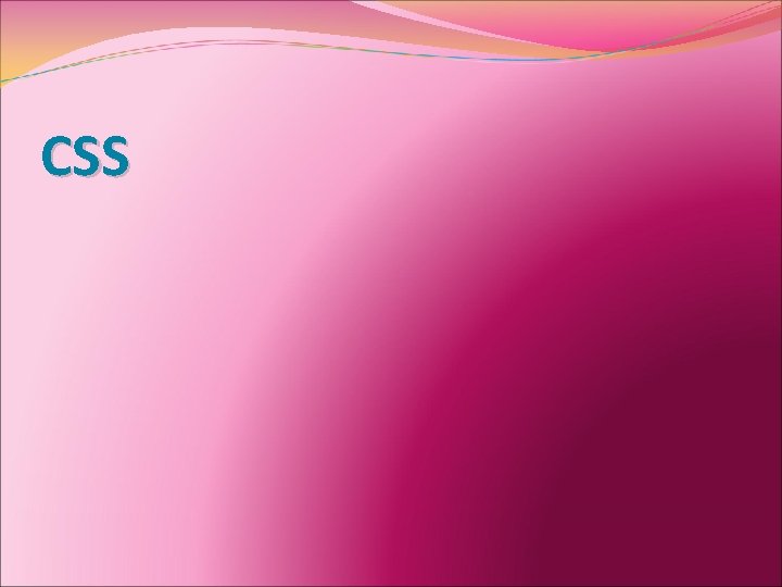 CSS 