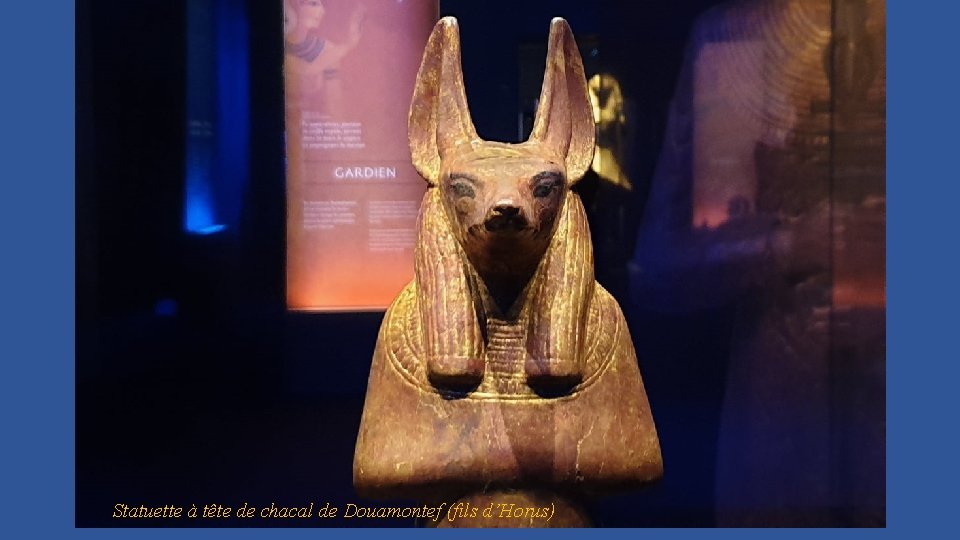 Statuette à tête de chacal de Douamontef (fils d’Horus) 