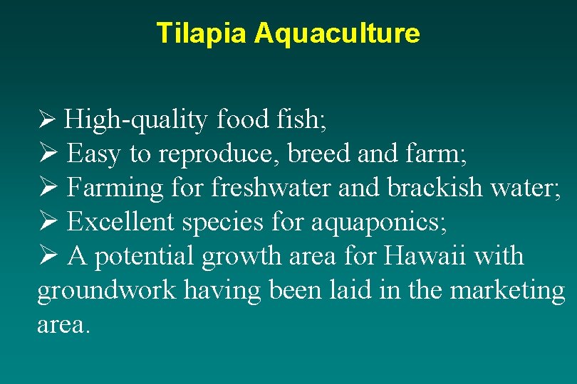 Tilapia Aquaculture Ø High-quality food fish; Ø Easy to reproduce, breed and farm; Ø