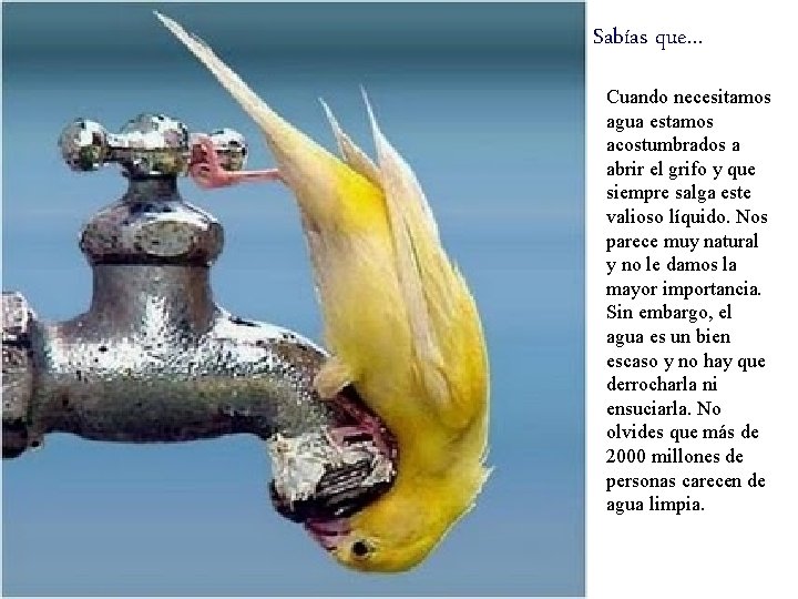 Sabías que… Cuando necesitamos agua estamos acostumbrados a abrir el grifo y que siempre