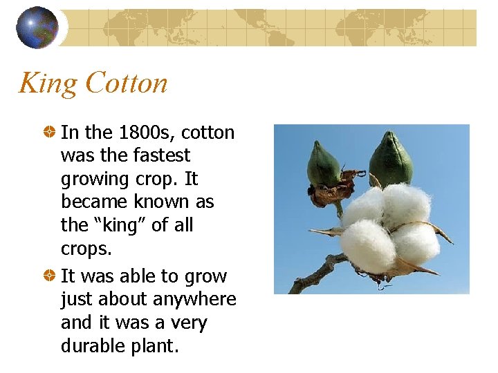 King Cotton In the 1800 s, cotton was the fastest growing crop. It became