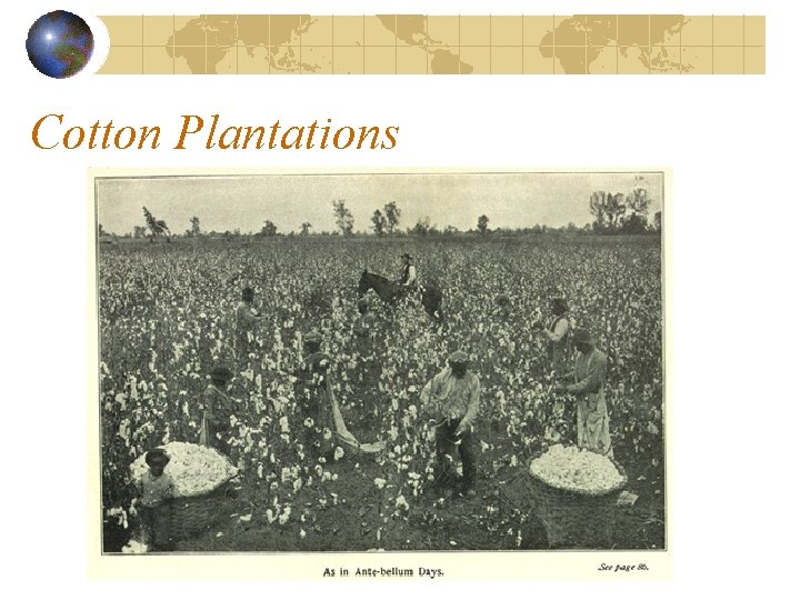 Cotton Plantations 