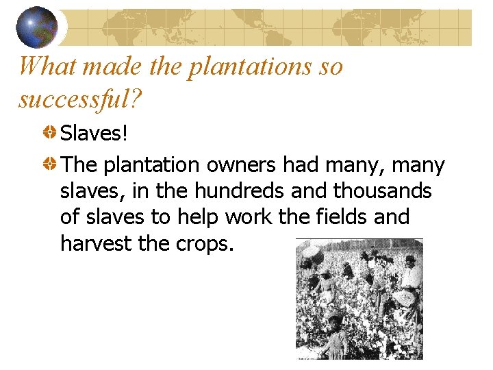 What made the plantations so successful? Slaves! The plantation owners had many, many slaves,