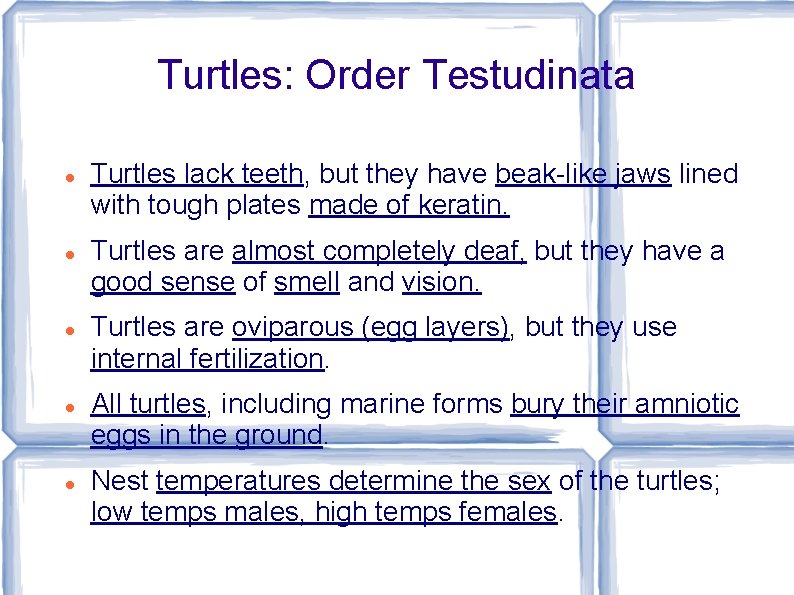 Turtles: Order Testudinata Turtles lack teeth, but they have beak-like jaws lined with tough