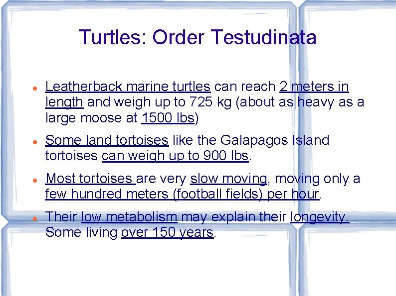 Turtles: Order Testudinata Leatherback marine turtles can reach 2 meters in length and weigh