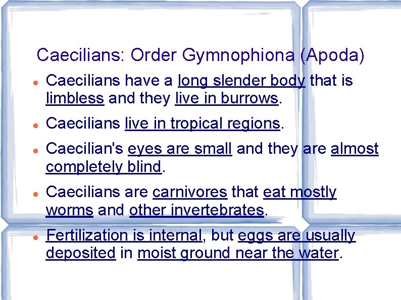 Caecilians: Order Gymnophiona (Apoda) Caecilians have a long slender body that is limbless and