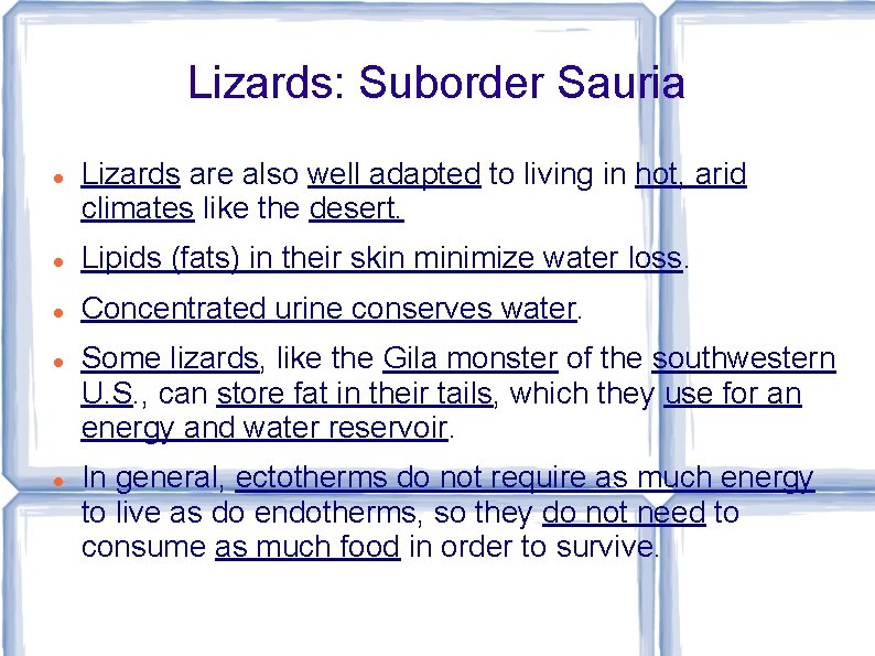 Lizards: Suborder Sauria Lizards are also well adapted to living in hot, arid climates
