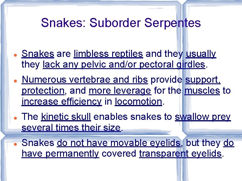 Snakes: Suborder Serpentes Snakes are limbless reptiles and they usually they lack any pelvic