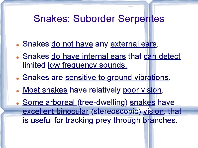 Snakes: Suborder Serpentes Snakes do not have any external ears. Snakes do have internal
