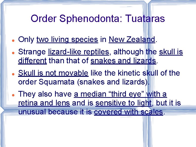 Order Sphenodonta: Tuataras Only two living species in New Zealand. Strange lizard-like reptiles, although