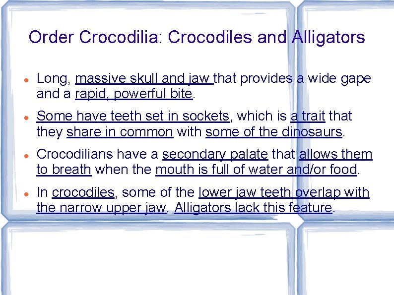 Order Crocodilia: Crocodiles and Alligators Long, massive skull and jaw that provides a wide