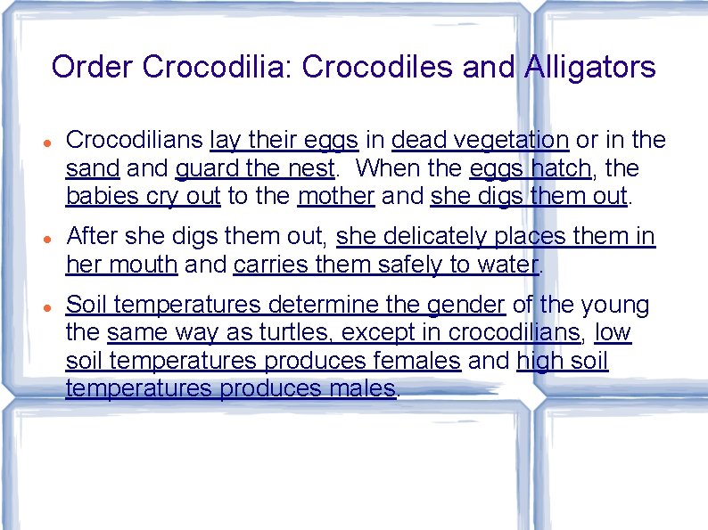 Order Crocodilia: Crocodiles and Alligators Crocodilians lay their eggs in dead vegetation or in